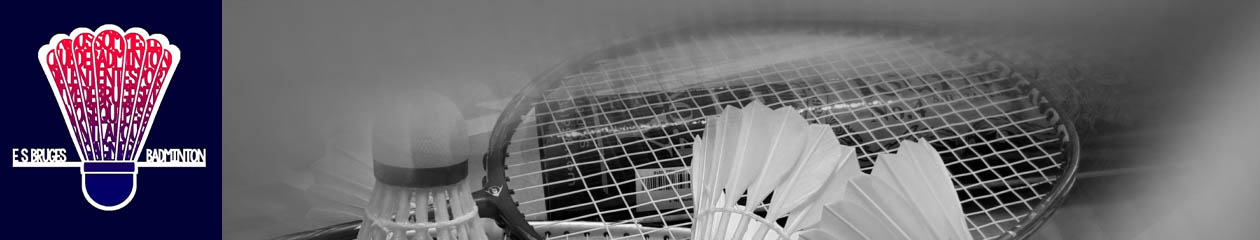 E.S. Bruges Badminton